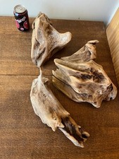 Driftwood Pieces x 3 best