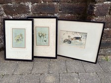 Collection Painting Antique Drawing Prints Foxhound Dogs Signed Ebonised Frames