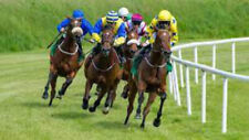 Exchange Horse Racing Betting