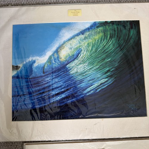 The suzanne rudge collection - the,