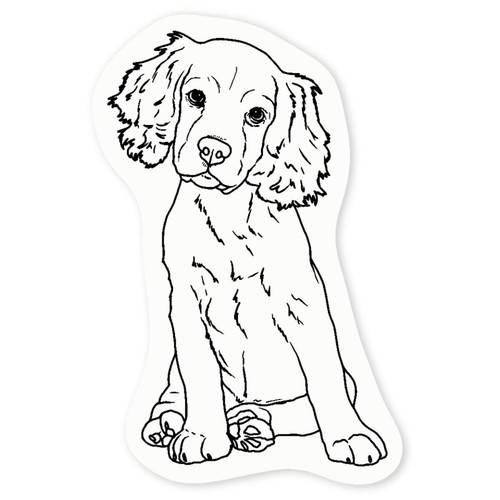 Cocker spaniel puppy clear - spaniel, puppy'