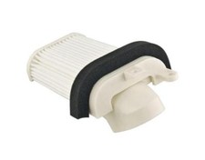 Air Filter Left Air Filter