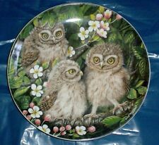 Wedgwood Collectors Plate LITTLE OWL CHICKS - THE BABY OWLS