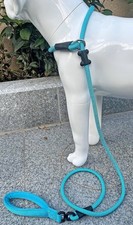 Turquoise 4ft Slip Lead Dog Leash -Strong Nylon Rope - Non-tangle Swivel Handle