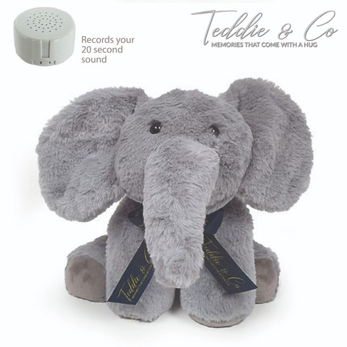 Message recording elephant - message,