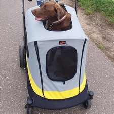 Pet Stroller 4 Shock-absorbing