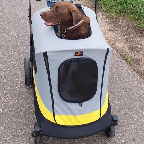 Pet stroller shock - pet, shock-absorbing