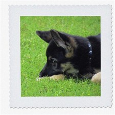 German Shepherd Pawsome Pup