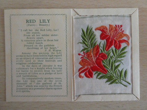 Kensitas wix tobacco silk - kensitas,