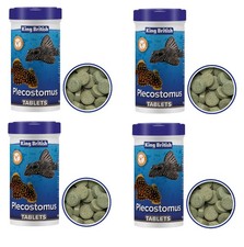 King British Plecostomus