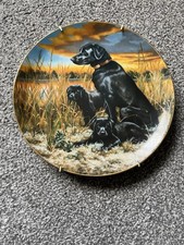 Hamilton collection Robert