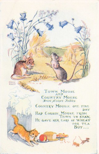 Molly brett postcard - brett, town