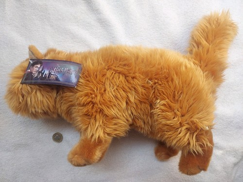 Harry potter hermione cat - hermione,