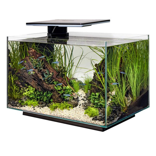 Superfish quadro pro led - superfish, 70