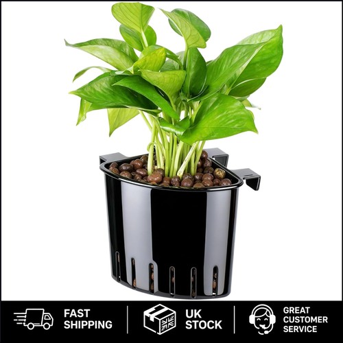 Hanging plant holder large - -,