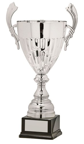 Personalised cup trophy - personalised,