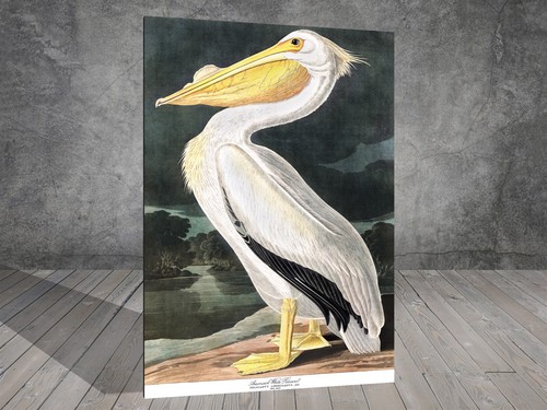 John james audubon - john,