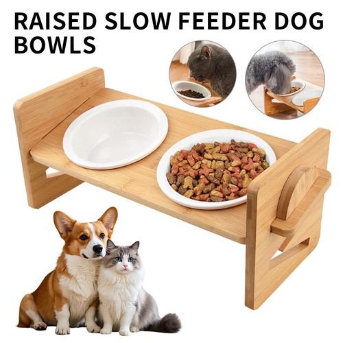 Double bowl dog - double, feeder