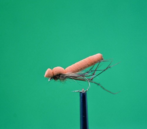 Orange daddy long - legs, foam
