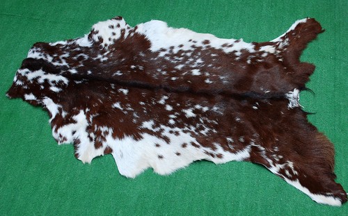 Luxury goat hide - luxury,