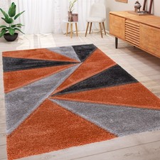Large Shaggy Rugs Modern Soft