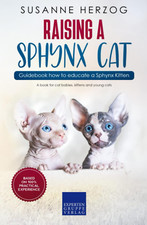Raising a Sphynx Cat –