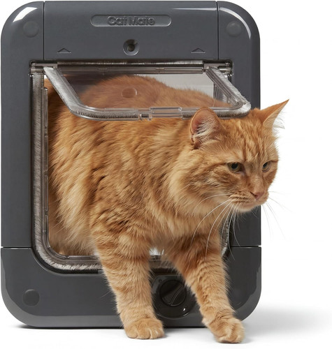 Microchip activated cat - cat, flap