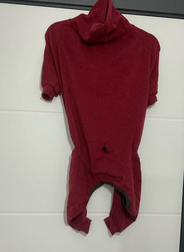 Red greyhound whippet sweater - greyhound,