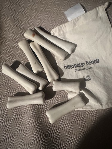 Dinosaur bones for - dinosaur,