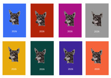 English Toy Terrier 2026