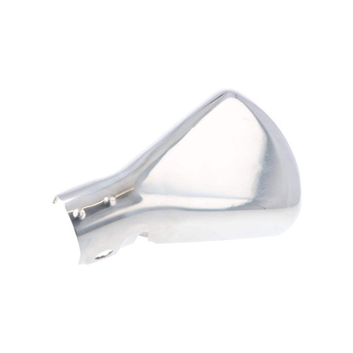 Chrome fish tail - fish,