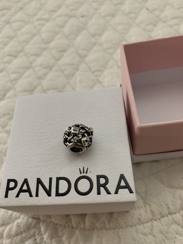 Pandora silver locked your - silver,