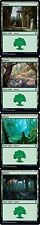 Magic The Gathering MTG Basic Land Forest Green Trading TCG Card Game