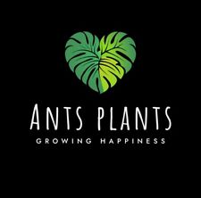 Plant Tissue Culture Starter Bundle