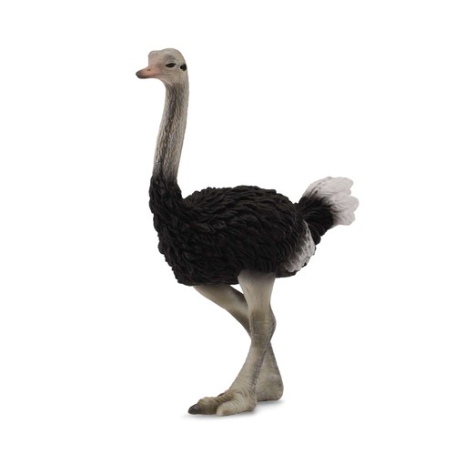 Collecta ostrich - collecta,