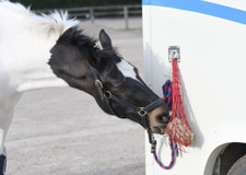 Equilibrium MUNCH NET Small Hole for Calm & Vita Munch Fibre Blocks Stable/Lorry