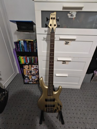 Ibanez ergodyne edb600 - ergodyne,