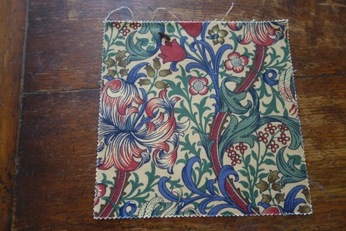 Sanderson golden lily minor - sanderson,
