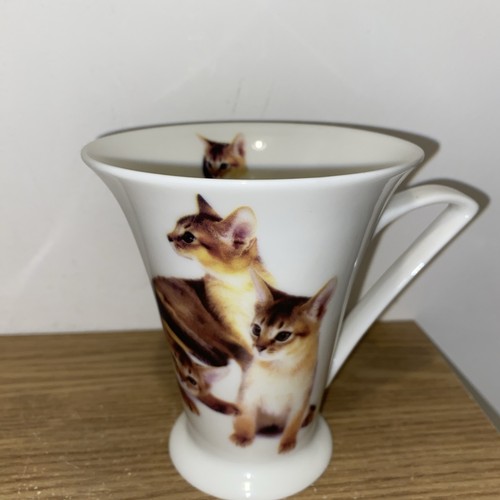 Cat kittens mug - ,