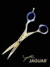 Jaguar Evolution 5’25”