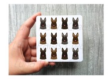 Dutch Shepherd Coaster, Novelty Dog Coaster Dutch Shepherd Dog Gifts 