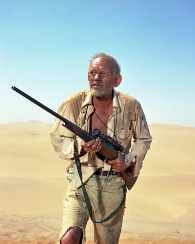 Sands the kalahari - sands,