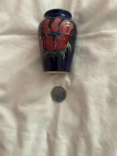 Small moorcroft anemone - moorcroft,