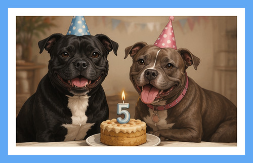 Greeting card staffordshire - card,