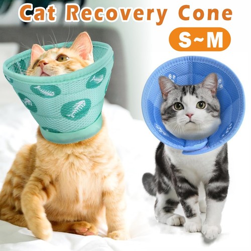 Pet recovery lightweight mesh - recovery,