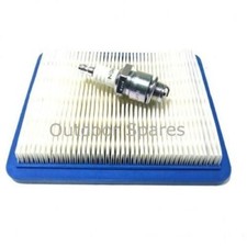 Hayter Harrier 56 Petrol