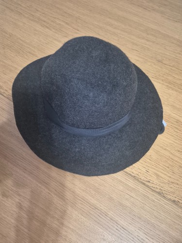 Bnwt debenhams wide brim felt - bnwt,