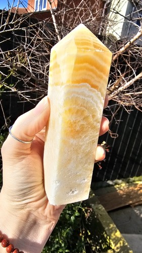 Sale large orange - ✨️sale✨️,