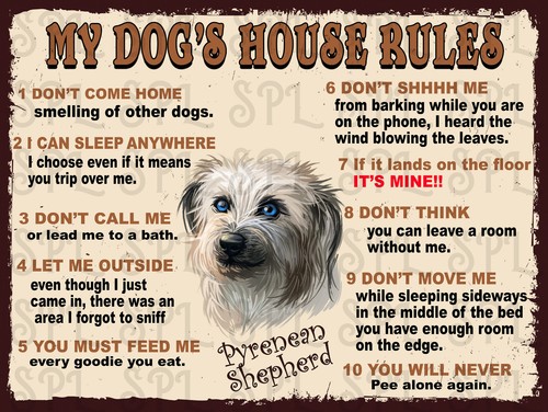 Dog house rules pyrenean - dog's,