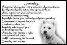 Westie pet dog memorial